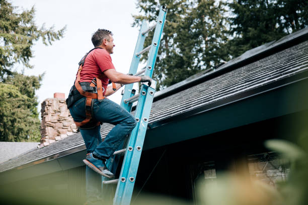 Best Roof Moss and Algae Removal  in Pepper Pike, OH